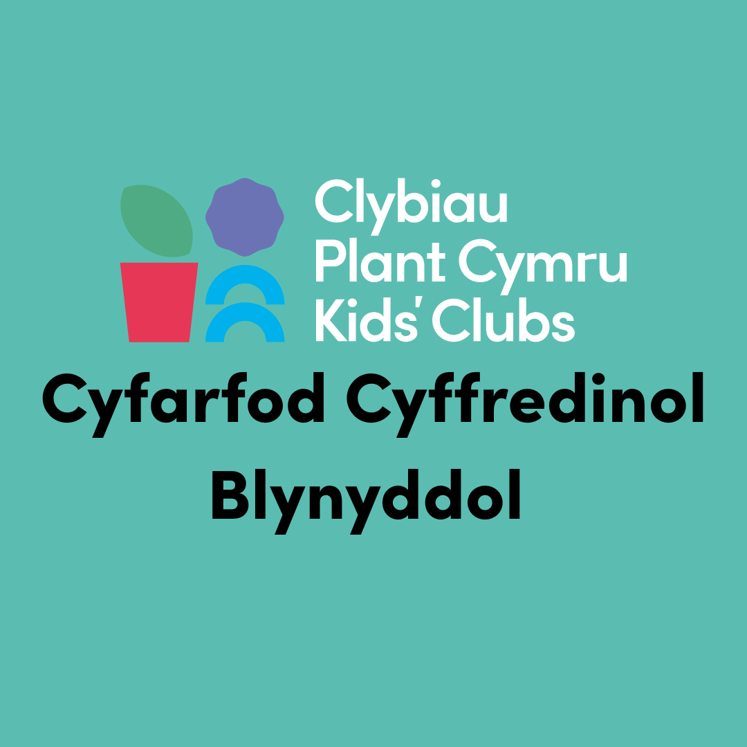 Cyfarfod Cyffredinol Blynyddol  (CCB) 21/10/2025 Ar-lein (22257) Dim ond i aelodau