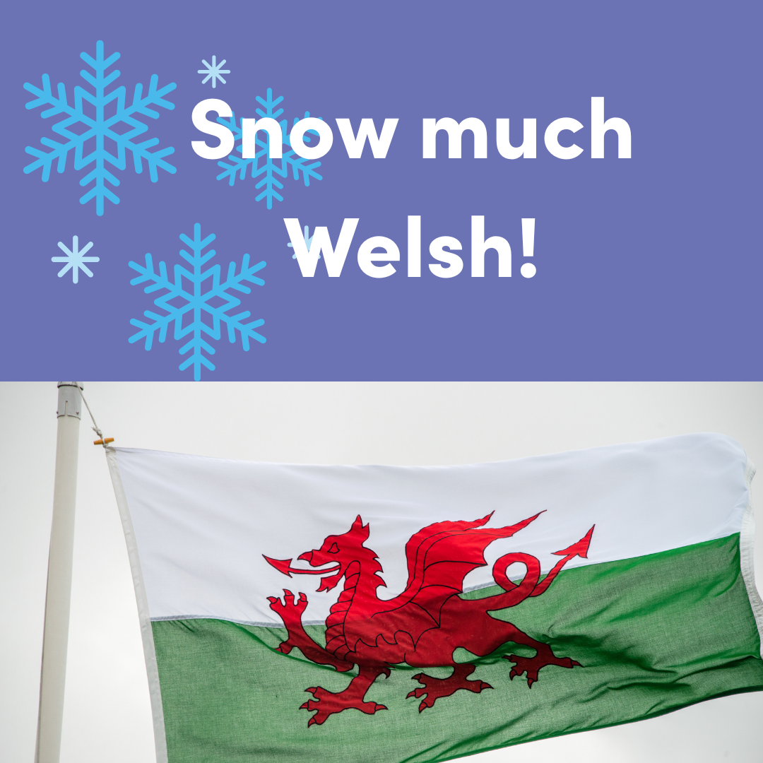 Snow much Welsh!- Incidental Welsh for Christmas- 18/11/2025 Online (22258)